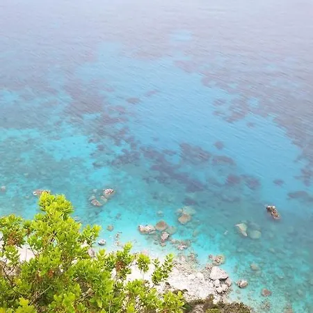 Maria 팔레오카스트리차